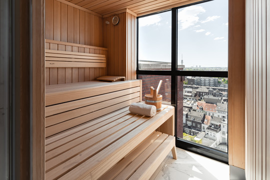 Penthouse Sauna Suite